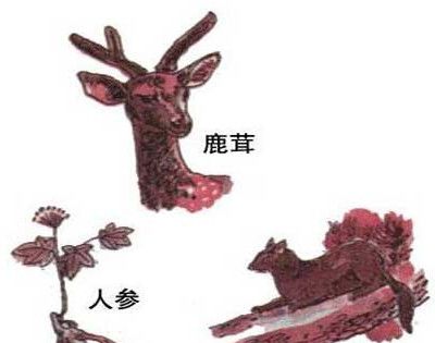 东北三宝是指哪三宝？