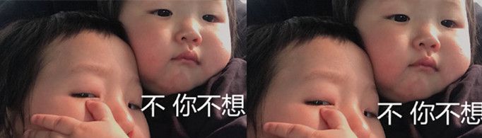 不，你不想是什么梗？