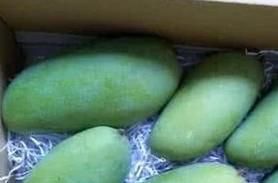 如何快速捂熟芒果？