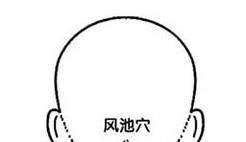 风池穴位位置图，风池穴找法