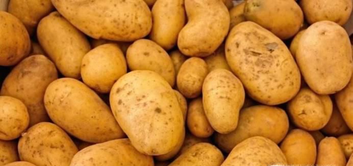 土豆放的时间长了发绿了，能吃吗？