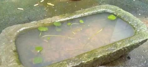 驱蚊方法有哪些？