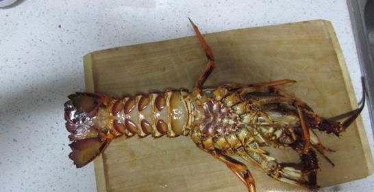 如何轻松处理生猛大龙虾