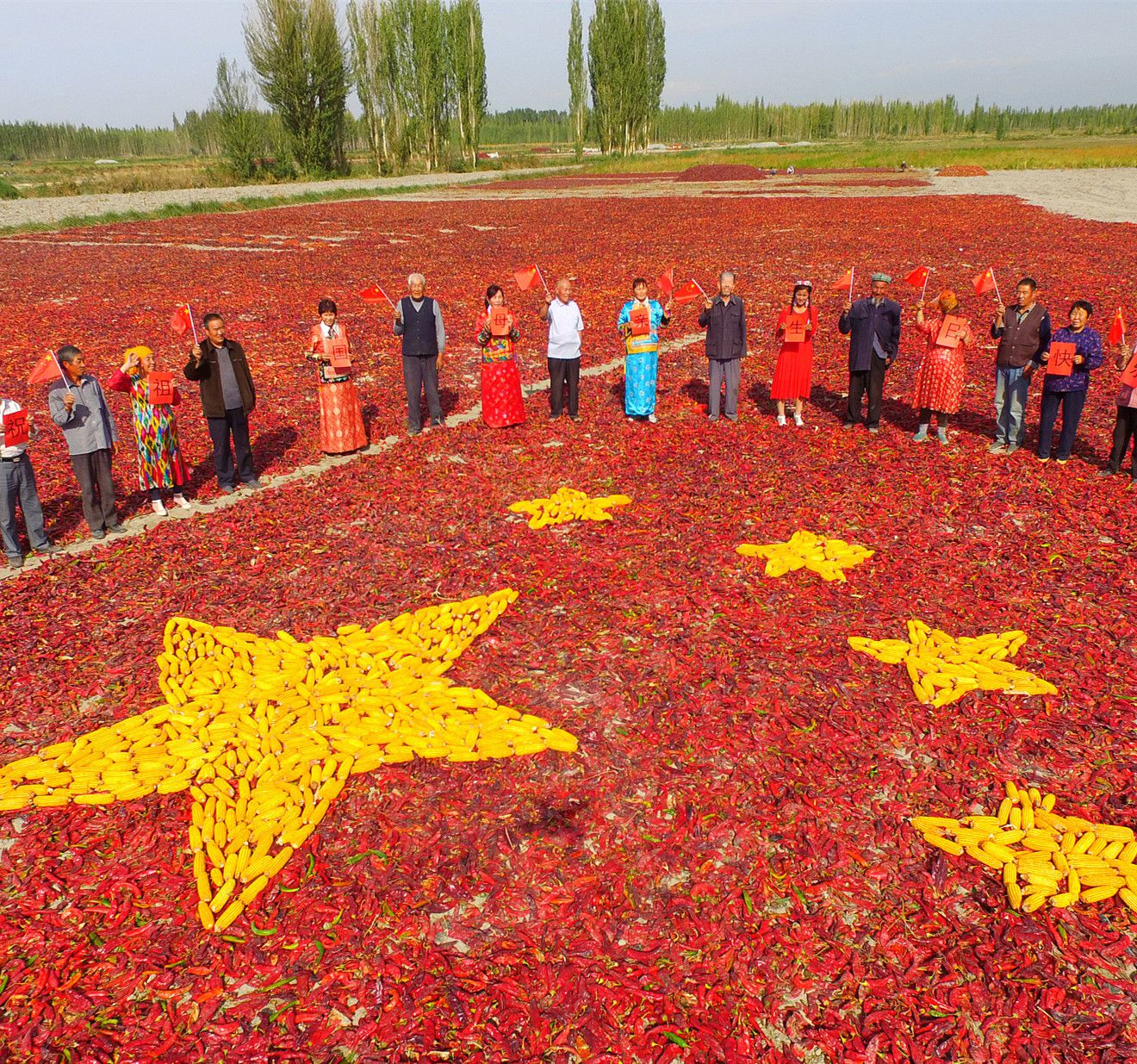 中国最大的省是哪个省?