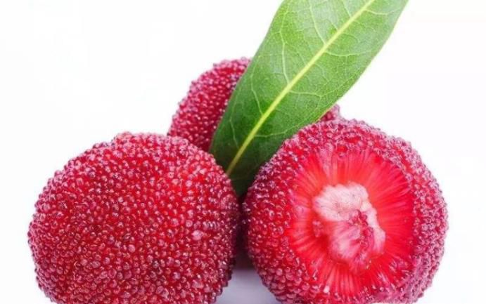 杨梅的功效作用及营养价值