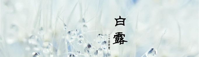 白露是什么意思?白露代表什么?