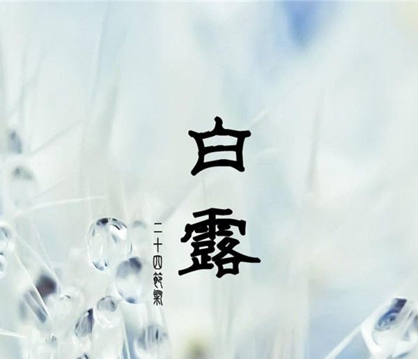 白露代表什么生肖？