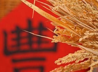 丰收节是几月几日？