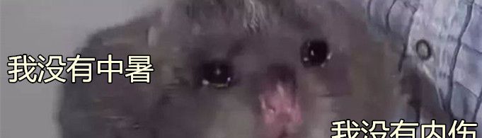 竹鼠是什么梗？