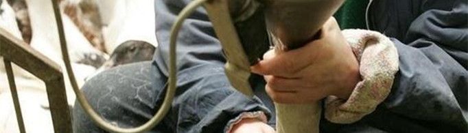 法式鹅肝为什么那么大？