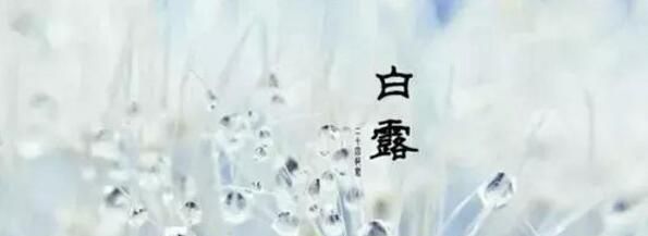 今日白露，跟这个节气有关的常识，你知道多少？