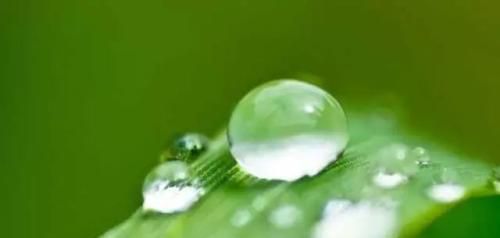 白露节气后，是3种慢性病爆发期，多吃这些帮你“保平安”