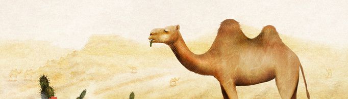 骆驼为什么能吃仙人掌？