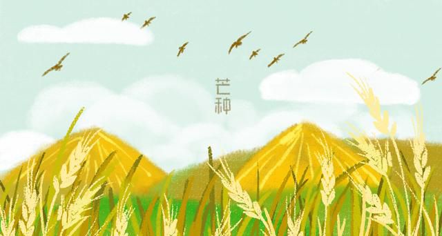 “草生芒种后，叶落立秋前” 芒种都有哪些习俗