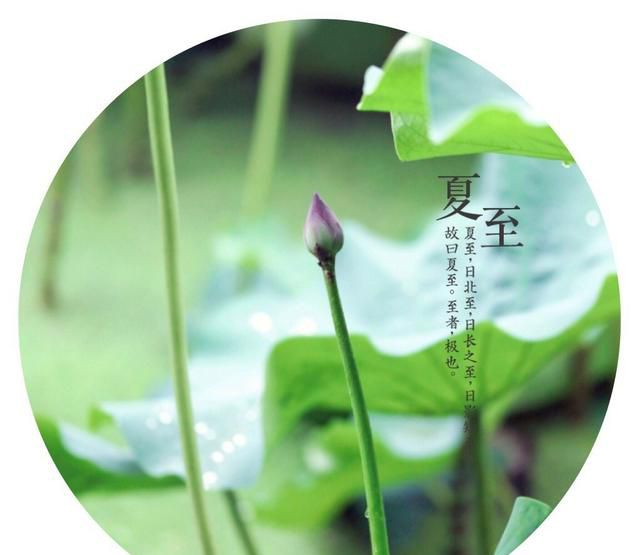 夏至就要吃面，凉面、热面、炸酱面这样吃巨爽