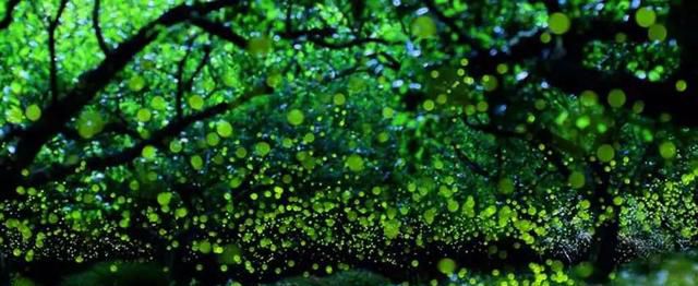 大暑时节至，各地大暑习俗知多少！