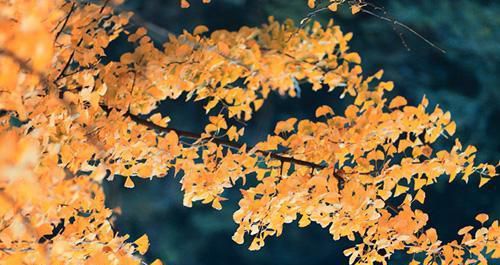 立秋处暑是什么意思？立秋处暑是什么时间？