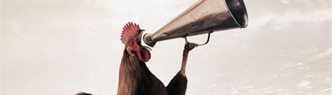 公鸡为什么打鸣？