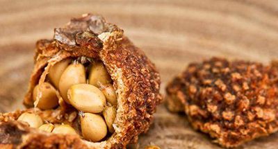 冬至后多吃这些食物，恢复皮肤弹性更有女人味