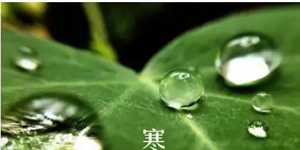 寒露时节，遇见最美的寒露诗词