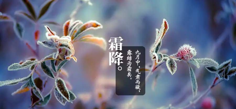 霜降到~还不知道这两句话的赶紧看吧！