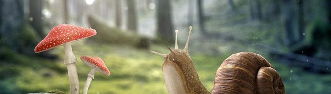 为什么蜗牛爬得慢？