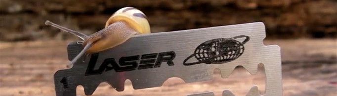 为什么蜗牛可以在刀上走？