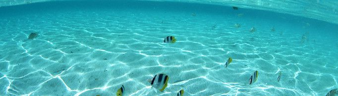 海水为什么是咸的？