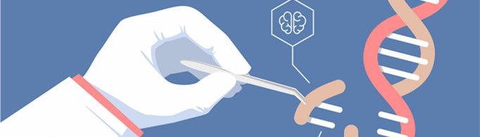 什么是基因编辑婴儿？