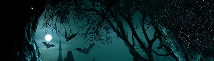 为什么蝙蝠喜欢在黑暗的地方？