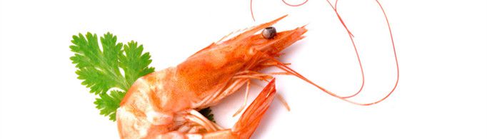 虾被煮熟后为什么会变红？