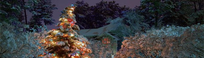 圣诞节为什么要圣诞树？