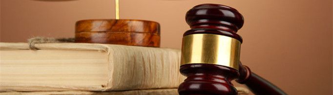 我国社会主义法创制的基本原则是什么？