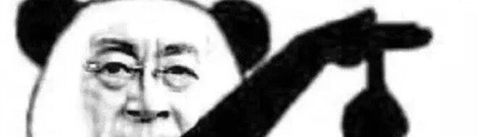 文体两开花是什么梗？