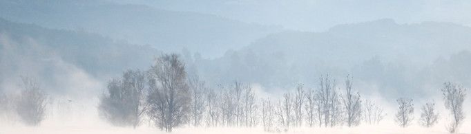 雾消失到哪里去了?