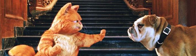 猫和狗为什么会打架？