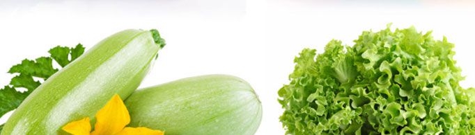 鲜是什么味道？