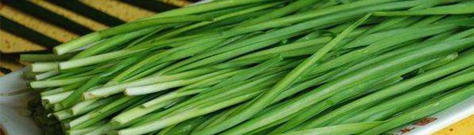 为什么韭菜割了还能再长？