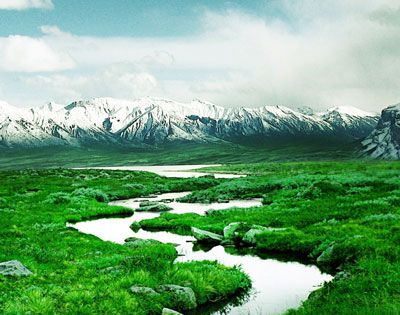 世界上有多少个国家没有河流？