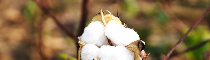 棉衣是靠什么给人温暖的？