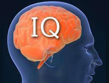 人类的智商最早是如何计算的？