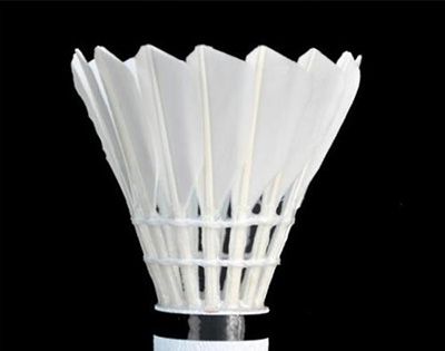 羽毛球的鹅翎需出自同一侧翅膀吗？