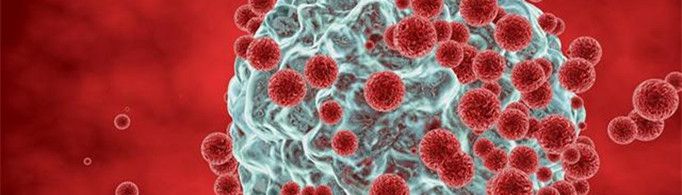 你体内的细胞，属于你吗？