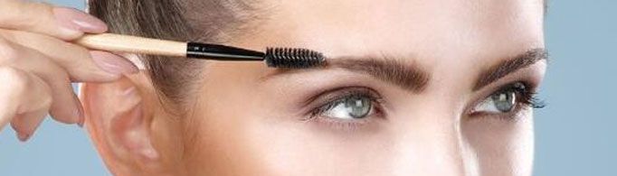 为什么眉毛不像头发那样可以长很长？