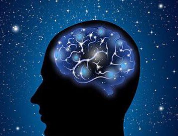 男性和女性的脑子一样吗？