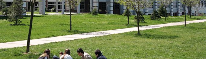 为什么用象牙塔比喻大学校园？