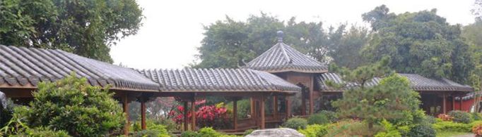 为什么有房屋前不栽桑后不栽柳的习俗？