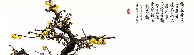 人们为何要从冬至开始数九？