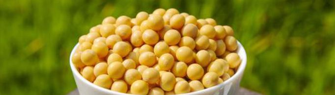 为什么吃大豆会放屁?