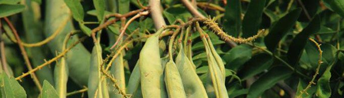 古代人用什么洗涤衣物？